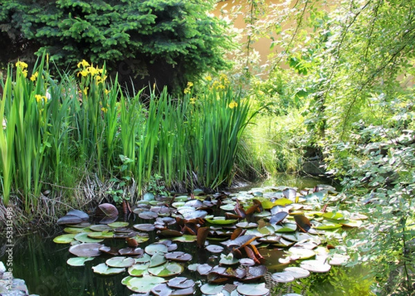 Obraz House garden with small pond
