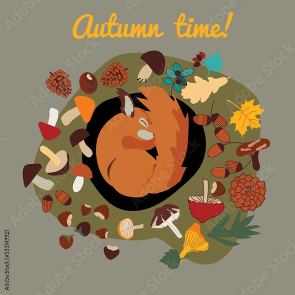 Fototapeta autumn background with sleeping squirrel