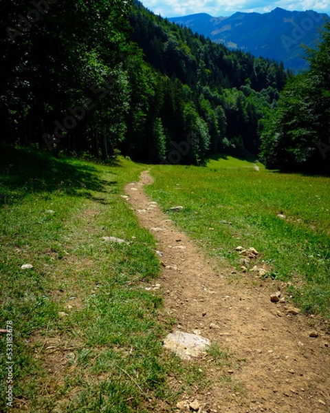 Fototapeta path in the mountains