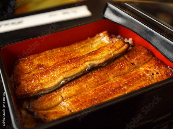 Obraz Japan eel rice box