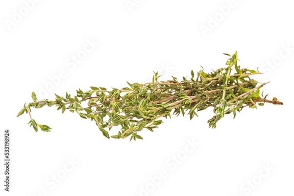Fototapeta Fresh thyme branch