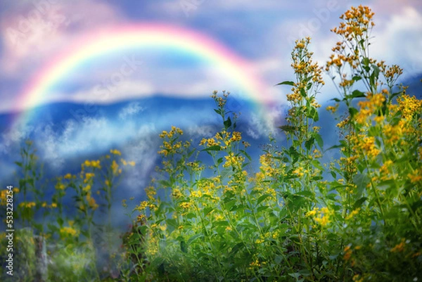 Obraz Smoky Mountain Adventure