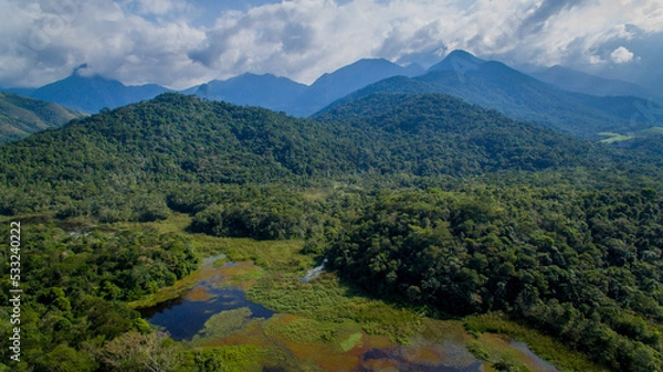 Fototapeta The exuberant Atlantic Forest within the protected area of the Guapiaçu Ecological Reserve, in the metropolitan region of Rio de Janeiro.
