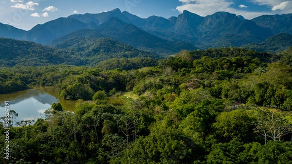 Obraz The exuberant Atlantic Forest within the protected area of the Guapiaçu Ecological Reserve, in the metropolitan region of Rio de Janeiro.
