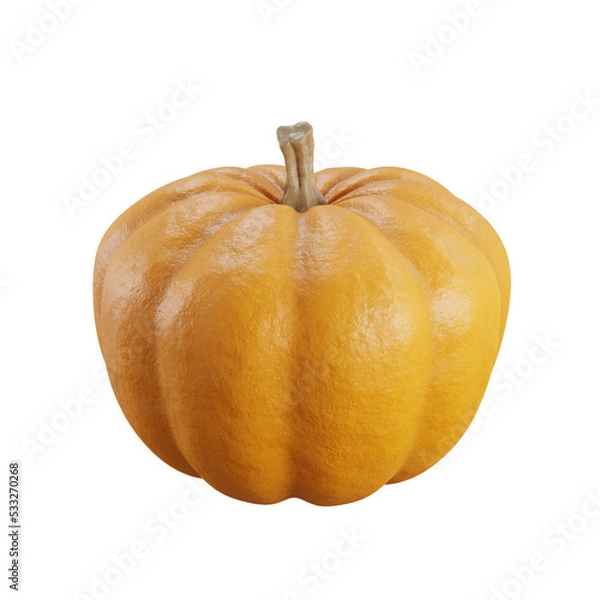 Fototapeta A pumpkin isolated no background