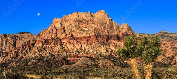 Obraz Red Rock Canyon Pano