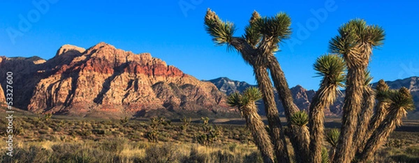 Obraz Nevada pustynia