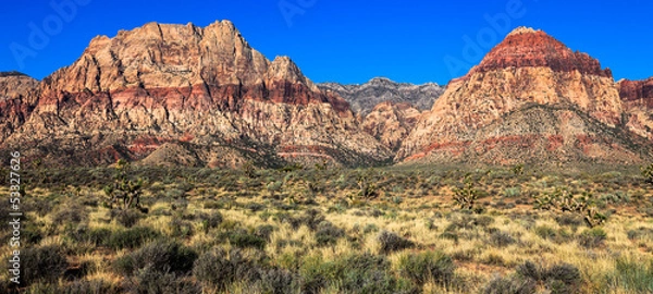 Obraz Pano Red Rock Canyon