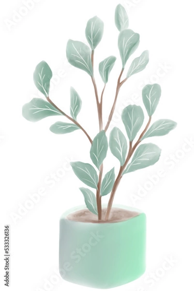 Fototapeta tree in a pot