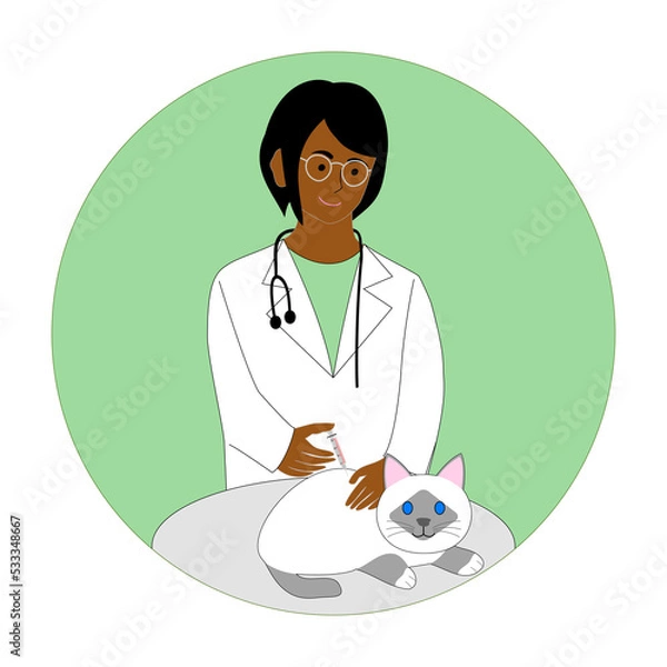 Obraz Black female veterinarian inject a Birman cat with white background