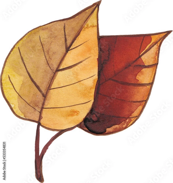 Obraz Watercolor colorfull autumn leaves with berries