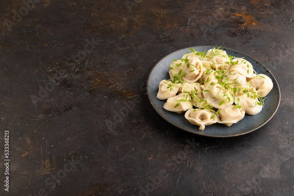 Fototapeta Dumplings with pepper, herbs, microgreen on black concrete. Side view, copy space.