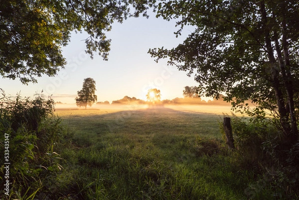 Fototapeta Der Herbst ist da