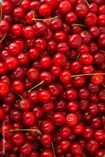 Fototapeta l red cherries