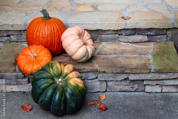 Fototapeta Four colorful pumpkins decorating the front porch in fall.