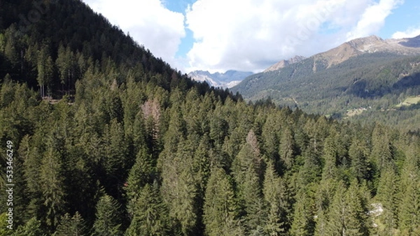 Obraz Val Brenta. In questa meravigliosa e piccola valle si ode il richiamo della Natura 