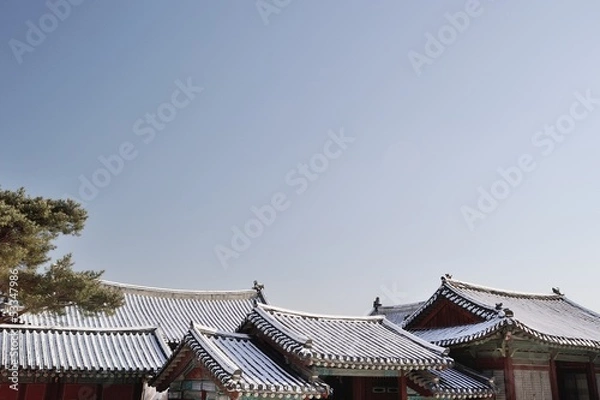 Obraz A tiled roofs and clear sky