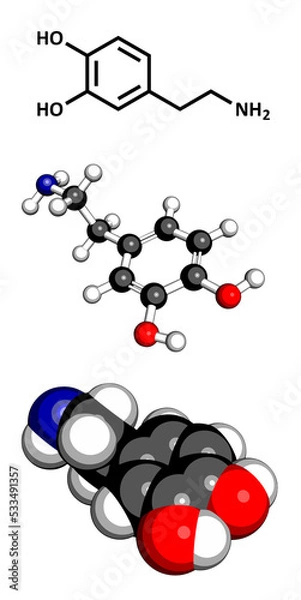 Obraz Dopamine neurotransmitter molecule, chemical structure