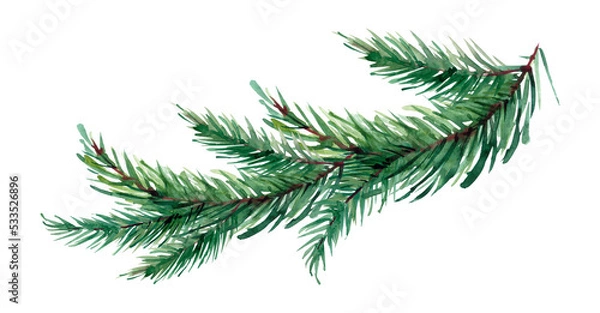 Fototapeta watercolor image of spruce branches isolated on a white background.
