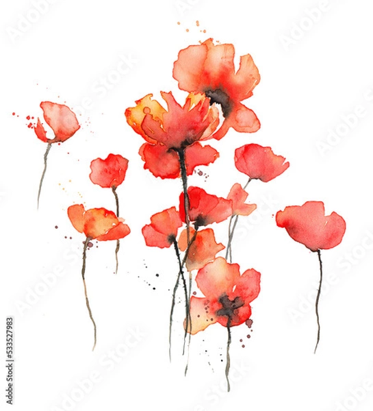 Obraz Red poppies watercolor illustration, Isolated on white. Wild red poppies. Surface design for interior decoration, textile printing, printed issues, invitation cards