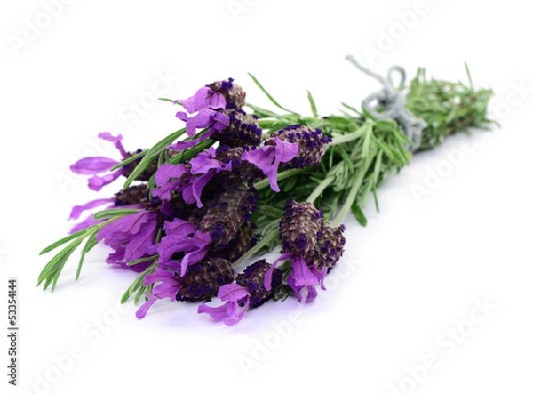 Obraz Blumen, Lavendel