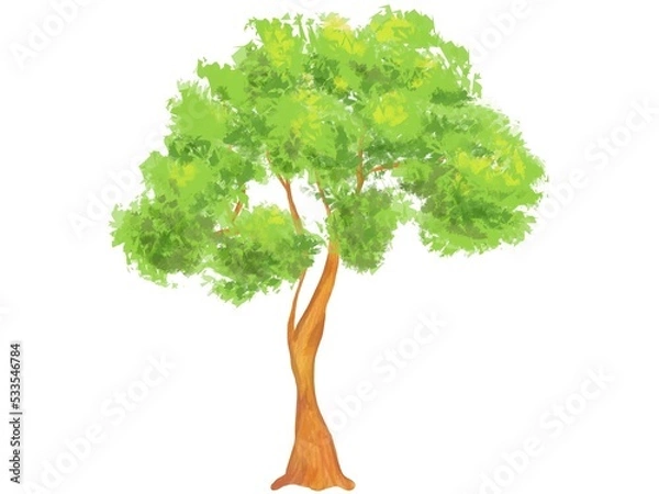 Fototapeta リアルでエネルギッシュな1本の木