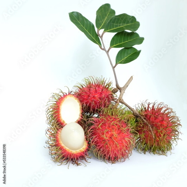 Fototapeta A bunch of ripe rambutan fruits with leaves isolated on white background.	

