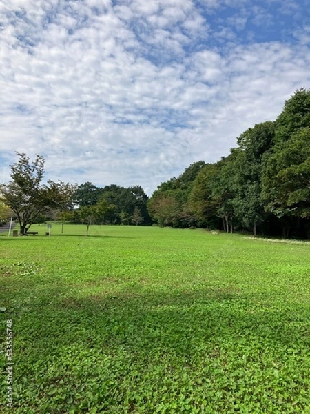 Obraz 人のいない広い公園