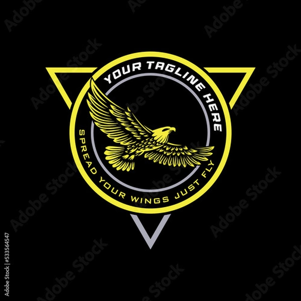 Obraz eagel logo with circle triangel concept.