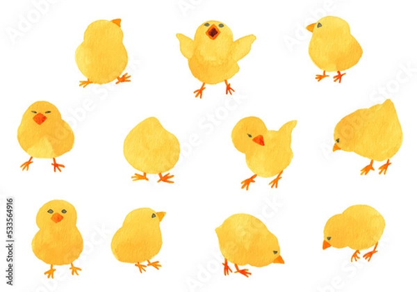 Obraz 色々なポーズの水彩のヒヨコ