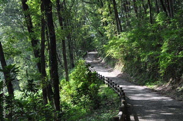 Obraz 日のさす登り道