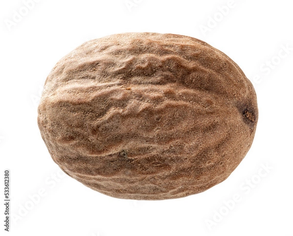 Obraz Wycięcie makro nasion Natmeg. Zbliżenie całego orzechu Muscat na białym tle. Koncepcja przypraw i przypraw. Myristica Fragrans drzewa owoce do gotowania i ziołowej medycyny.