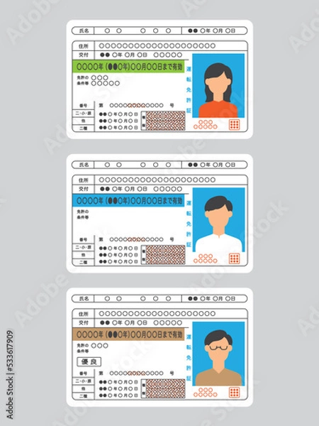 Obraz いろんな免許証のセット