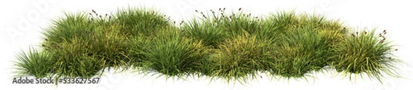 Obraz grass line 2 fresh