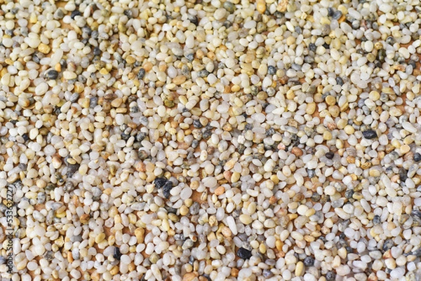 Fototapeta Many colorful sea stones with natural real color for background with copy space