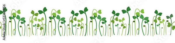 Fototapeta Microgreen young shoots pattern on transparent background. Vector illustration.