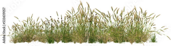 Obraz grass line 5 frontal