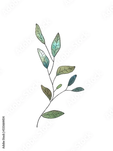 Fototapeta illustration of green leaf isolated on white background. sketch style. cute design element for logo design and print postcard or stickers