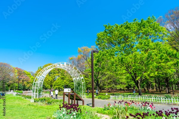 Obraz 東京　春の代々木公園