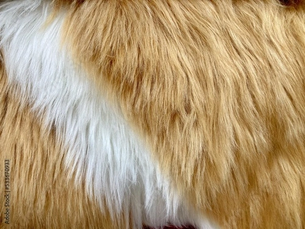 Obraz wool rug for texture background