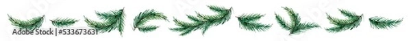 Fototapeta watercolor image of spruce branches isolated on a white background.