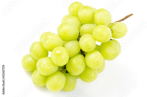 Obraz マスカット