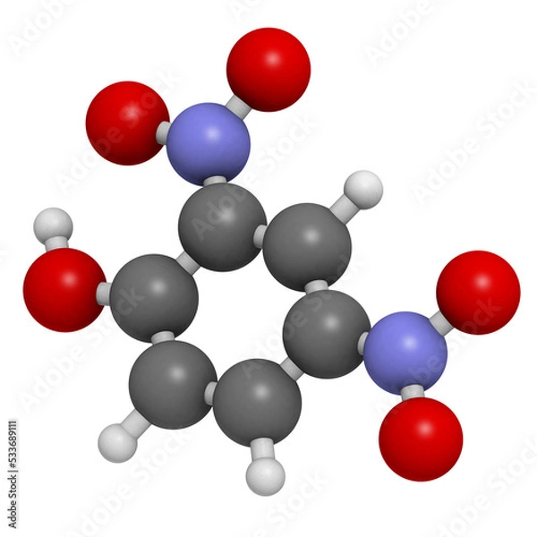 Fototapeta 2,4-Dinitrophenol (DNP), molecular model