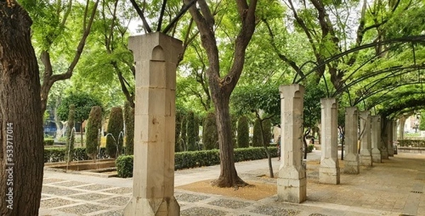 Fototapeta trees in the park of Palma of Maiorca 