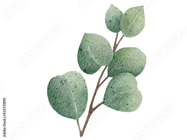 Obraz branch with leaves