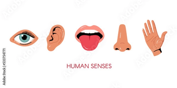 Obraz Five senses vector illustrations. Taste, sight, touch, smell, hearing. Eye, hand, mouth, tongue, ear, nose. Human senses organ set