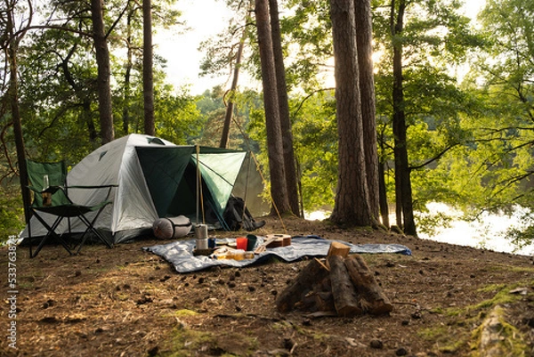 Fototapeta Shot of tourist tent with food and drink on rug in summer wood in daytime.