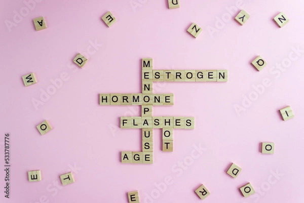 Fototapeta Word Menopause, Esrogen, Hormone, Age and Hot Flashes on wooden blocks on pink background. Women's health periods concept.