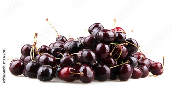 Obraz Słodka Wiśnia.