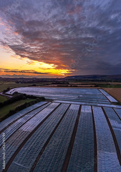 Obraz sunset in the country 